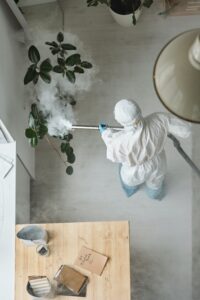 Cleaning and Disinfecting: Best Advice From EPA, Preventing Covid-19